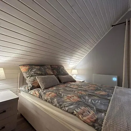 Willa Pod Debami Domek Nad Zalewem Chancza Z Balia Oraz Sauna Na Wylacznosc Rakow  Exterior foto